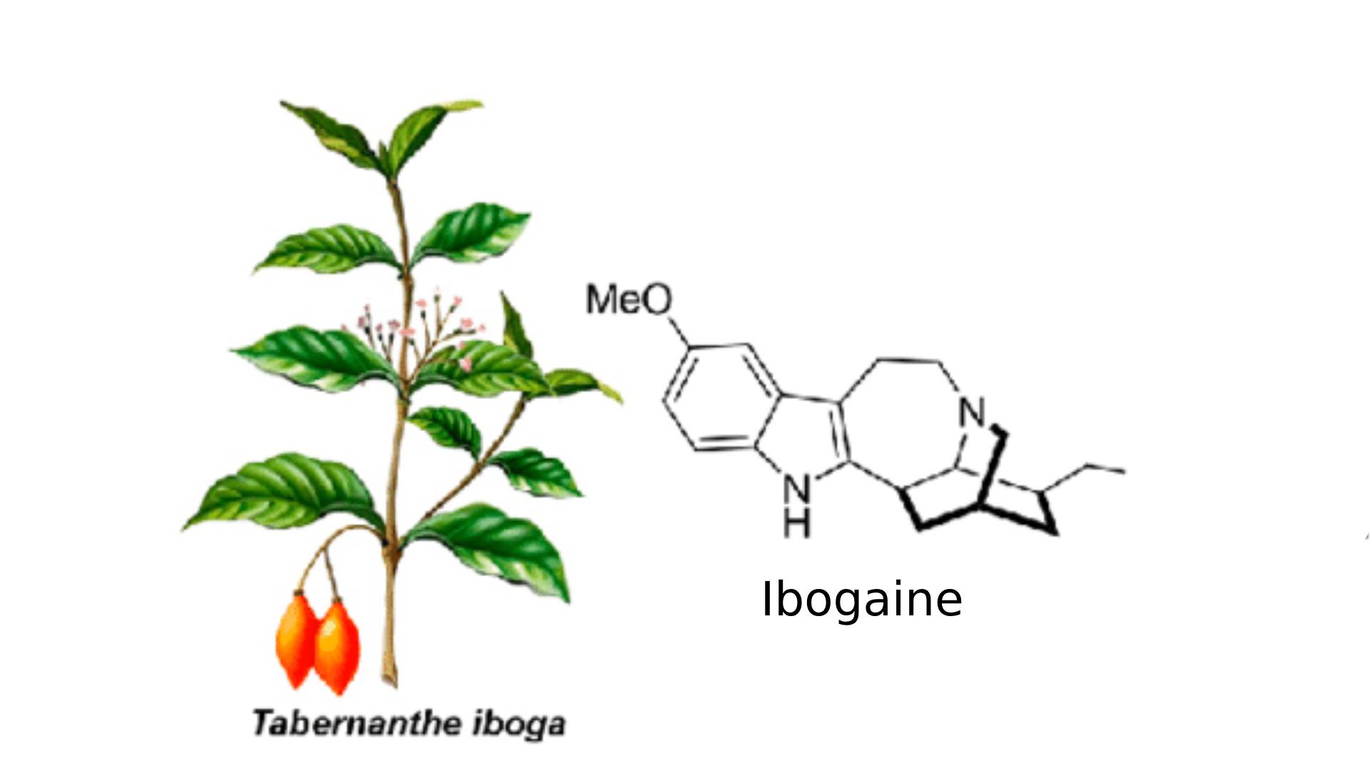 Ibogain